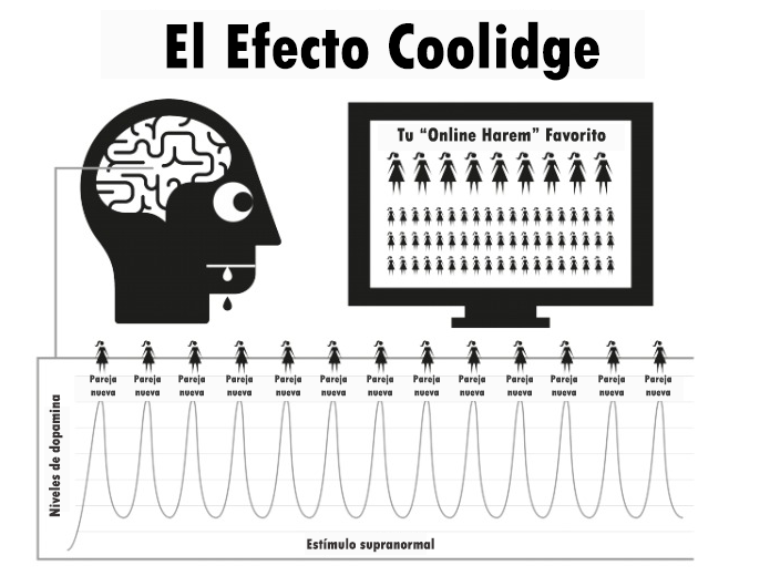 El efecto Coolidge
